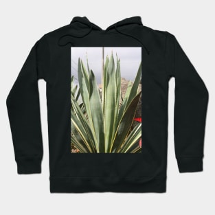 Mexican Plant Hoodie